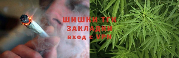 сатива Слюдянка