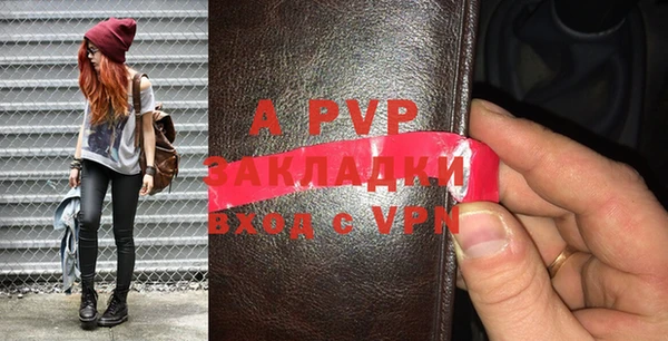 стаф Снежногорск