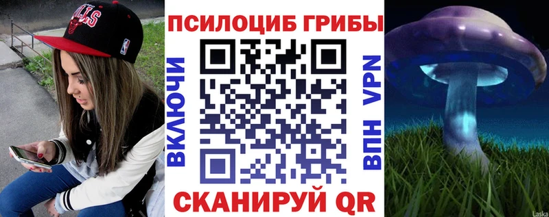 Псилоцибиновые грибы MAGIC MUSHROOMS  наркота  Спас-Клепики 